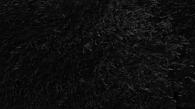 Dense blades of grass shot from directly above in near darkness, only the topmost edges catching enough light to separate.