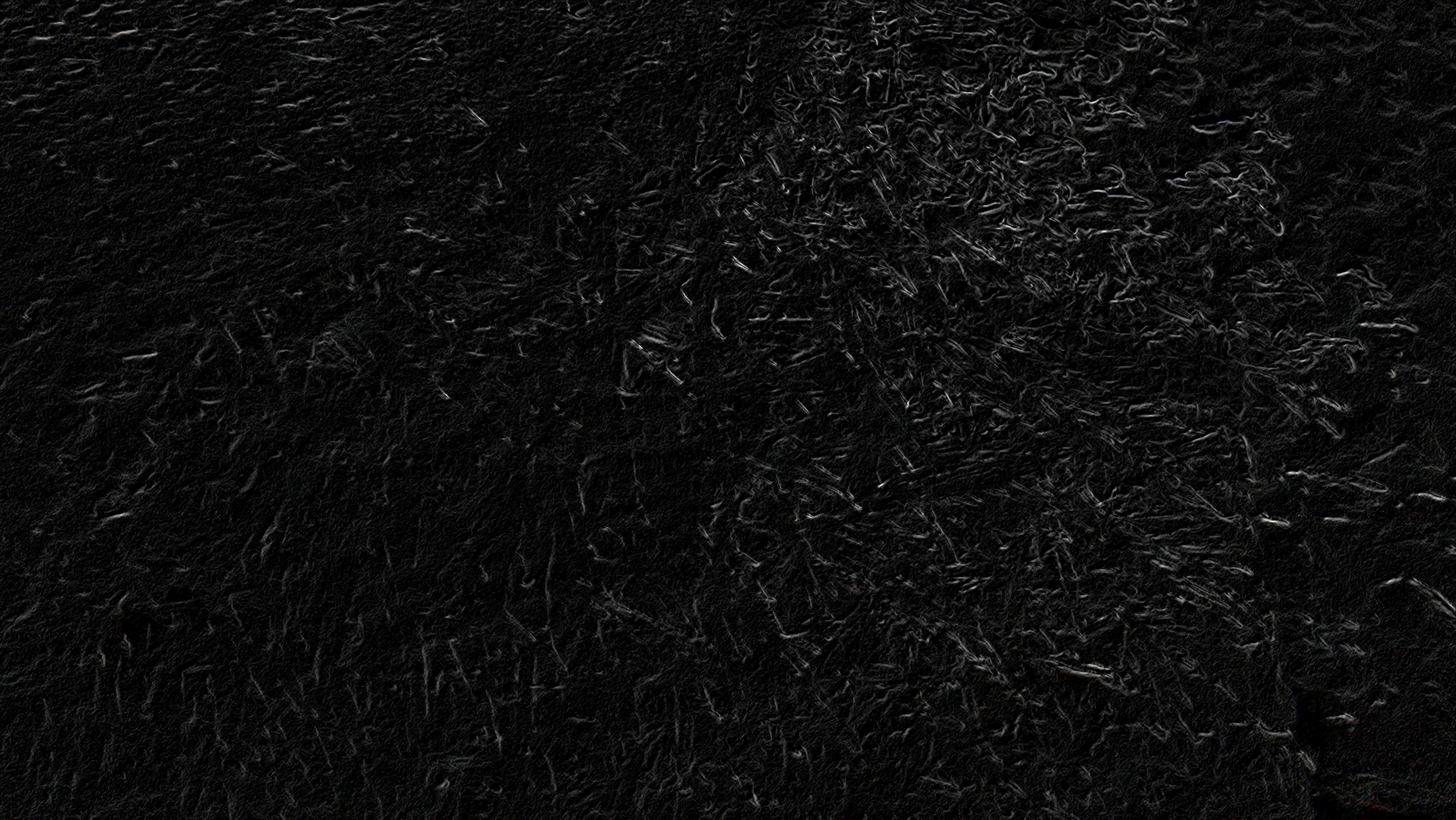 Dense blades of grass shot from directly above in near darkness, only the topmost edges catching enough light to separate.