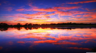 Streaks of crimson and blue repeat almost perfectly in still lake water, a thin band of trees marking the horizon across the middle.