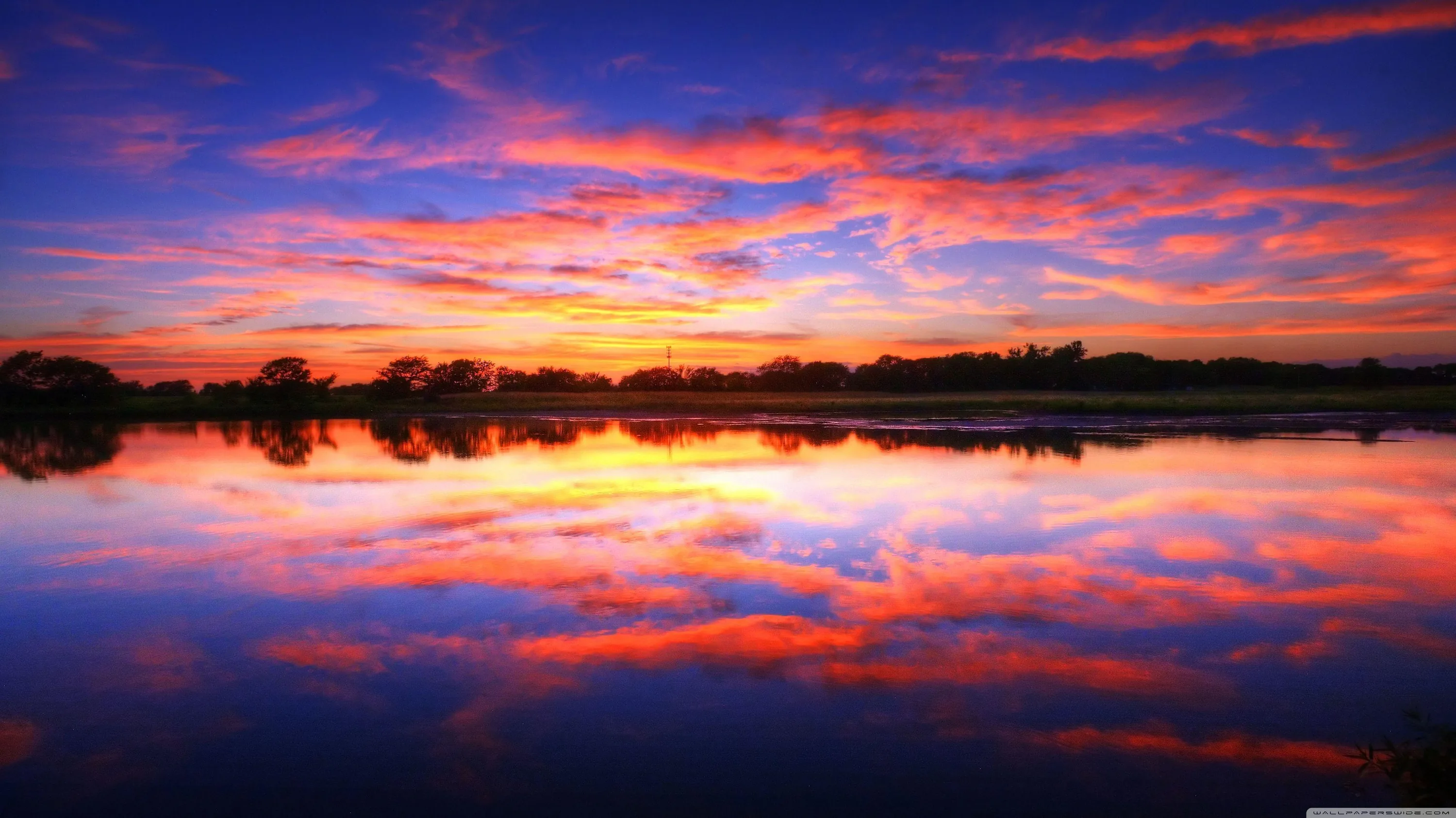 Streaks of crimson and blue repeat almost perfectly in still lake water, a thin band of trees marking the horizon across the middle.