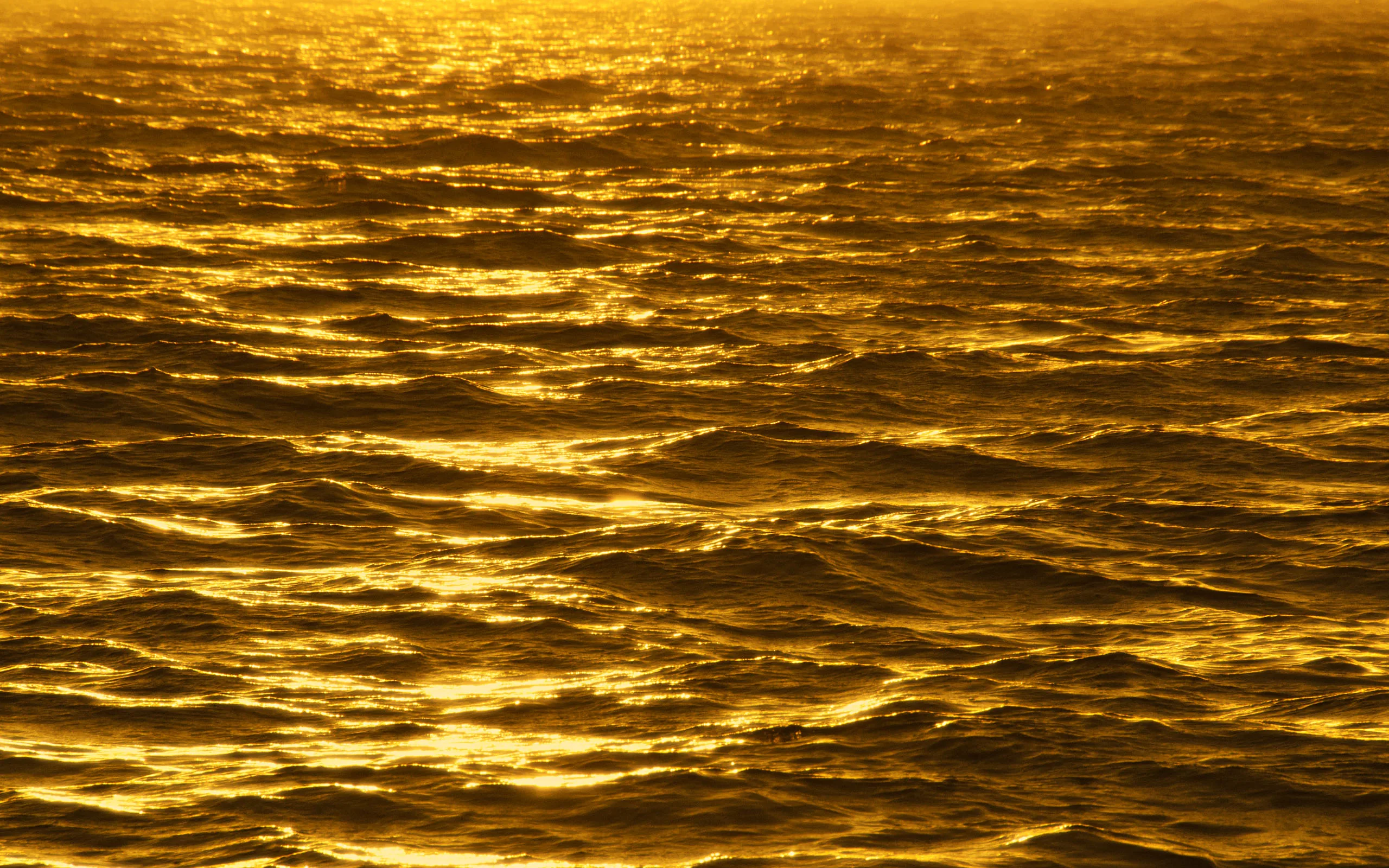 Low sunlight turns choppy open water into rows of molten gold, each wave crest catching the light against the darker troughs.