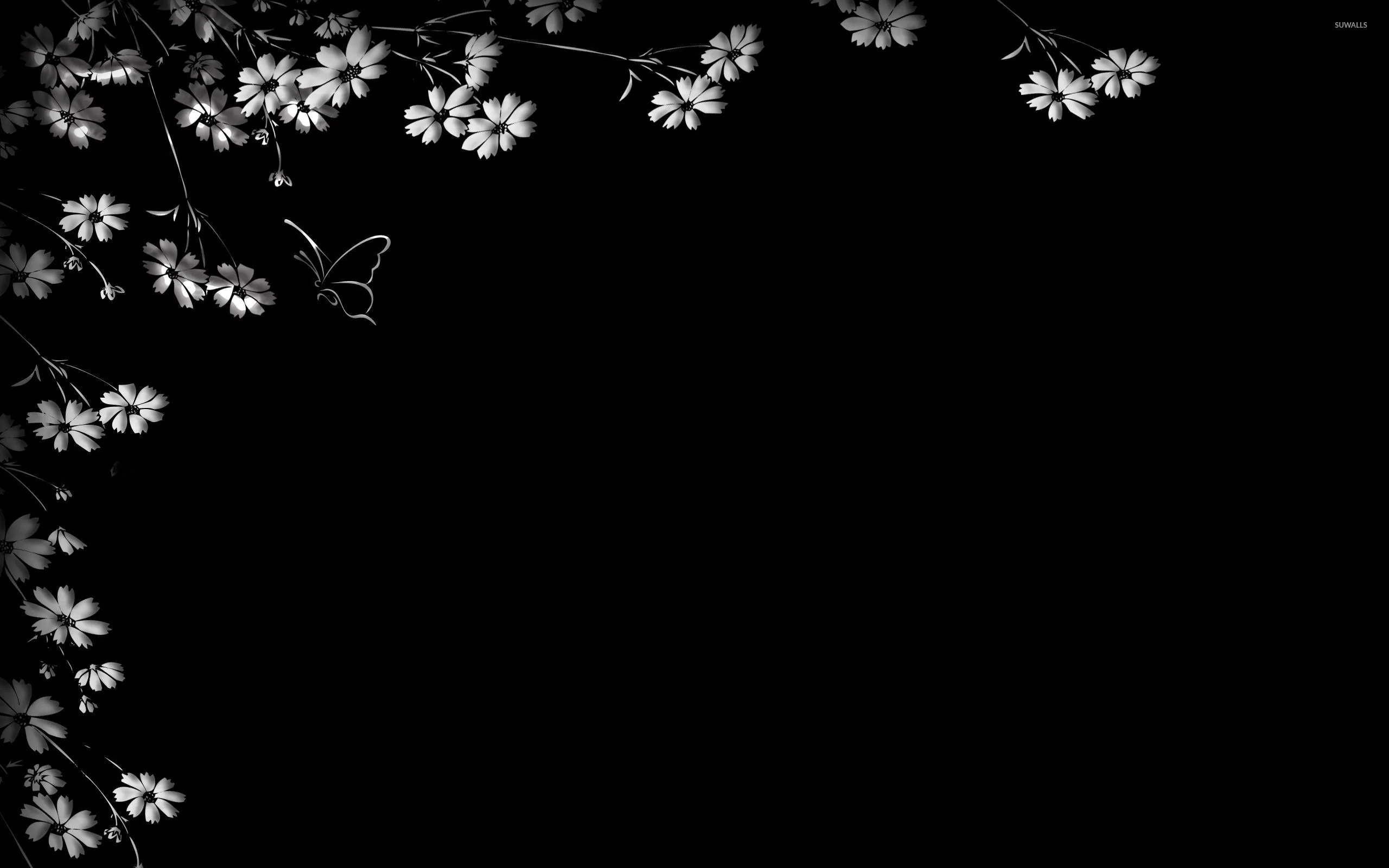 Thin branches of cosmos flowers hang into the top-left corner in grey and white, one butterfly perched among them, the rest of the frame flat black.