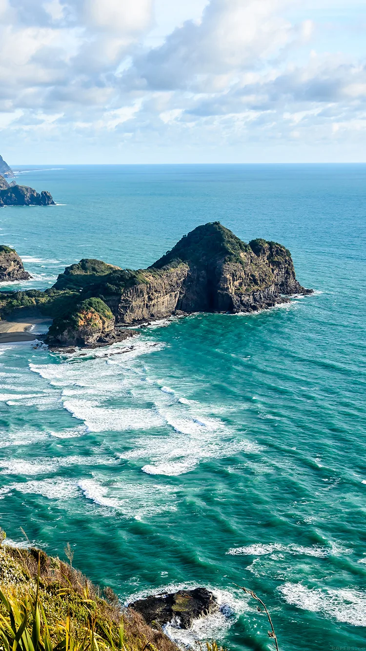 White surf rings a chain of bush-covered headlands seen from a clifftop trail, breakers stacking in lines toward shore.