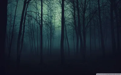 Bare trunks stand in ranks through a cold teal mist, a dim glow behind the middle trees the only source of light.