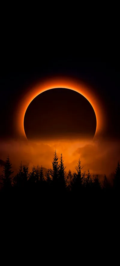 An eclipsed sun burns as an orange ring above a silhouetted pine forest, its glow lighting the mist while the top third stays fully black.