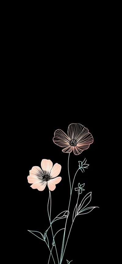 Two cosmos flowers drawn in thin pink outline rise from bare stems near the bottom of a tall black screen, the top two-thirds left free for icons.
