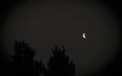A slim crescent hangs in a near-black sky above two soft tree silhouettes — most of the frame is plain darkness, easy on battery.