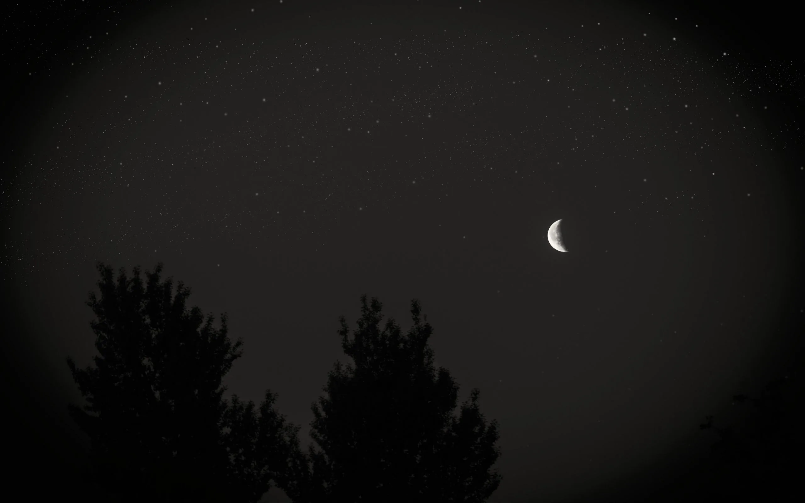 A slim crescent hangs in a near-black sky above two soft tree silhouettes — most of the frame is plain darkness, easy on battery.