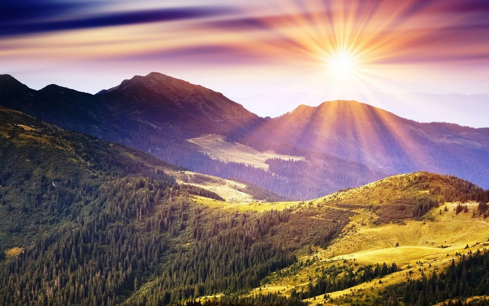 A high sun radiates through violet haze onto forested hills and mown clearings, the bright upper half of the frame staying clear for widgets.