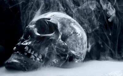 A weathered skull rests on a pale surface with smoke curling around it, the whole scene in cool grey monochrome.