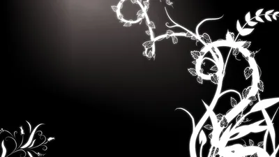 Delicate white vine and leaf scrollwork curls in from the corners of an otherwise empty black frame.