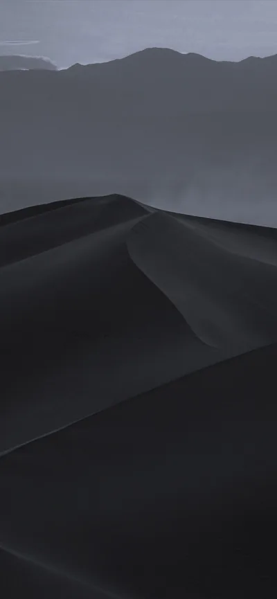 Black dunes ripple toward distant grey hills under an overcast sky, the ridgelines the only thing separating one dune from the next.