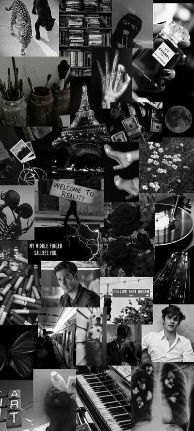 Tiles of the Eiffel Tower, piano keys, reaching hands and poppies fill a tall black and white grid, no colour anywhere in the frame.