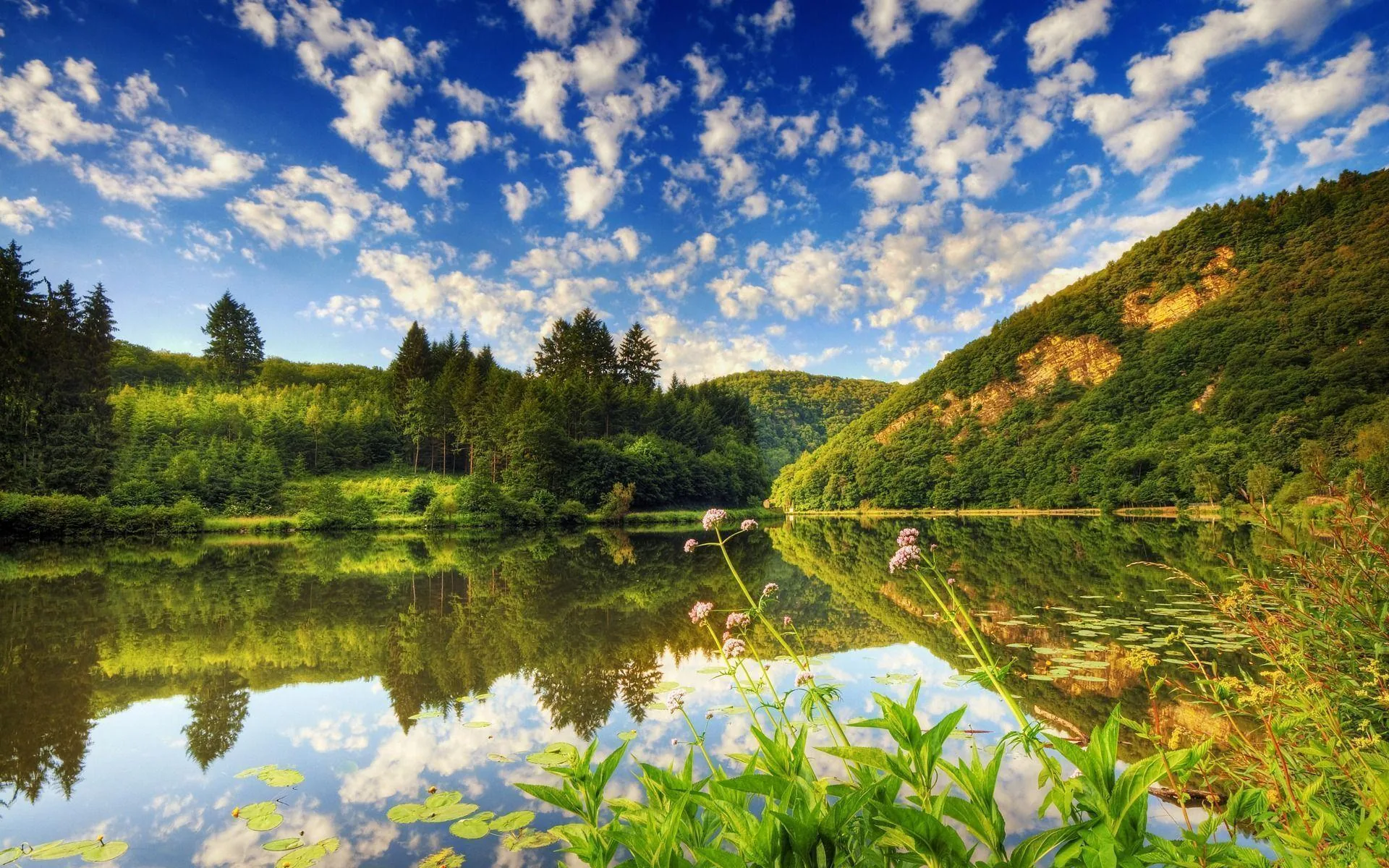Reeds lean in from the bottom edge toward still water doubling the wooded hills, and rows of small cumulus give the sky an even texture.