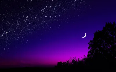 A thin crescent hangs above a treeline silhouette, meteor streaks crossing a sky that fades from deep blue to magenta at the horizon.