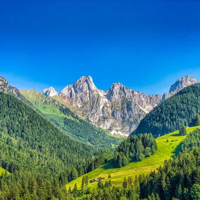 Bare rock summits stand between steep forested slopes and a green meadow, with the deep blue upper half left completely empty.