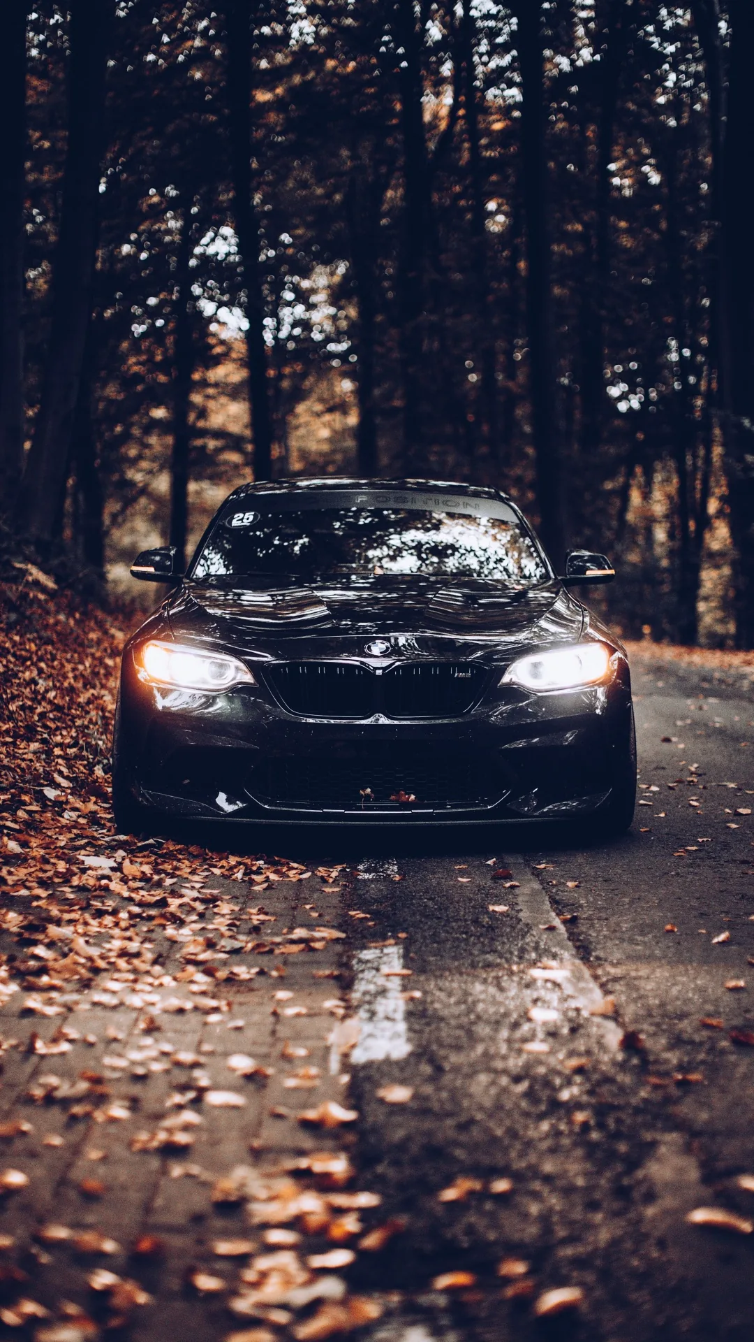 A dark coupe rolls head-on down a leaf-strewn lane, bare trunks closing in on both sides and headlights just switched on.