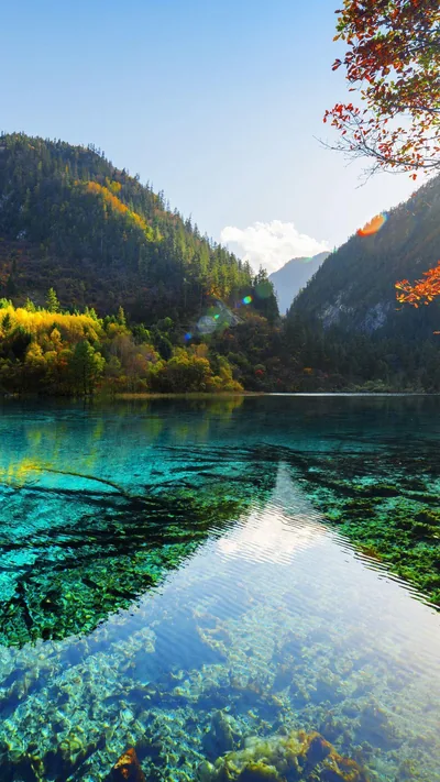 Clear turquoise water shows sunken logs in the foreground while autumn forest climbs the far slopes, the pale sky strip at the top holding the clock cleanly.