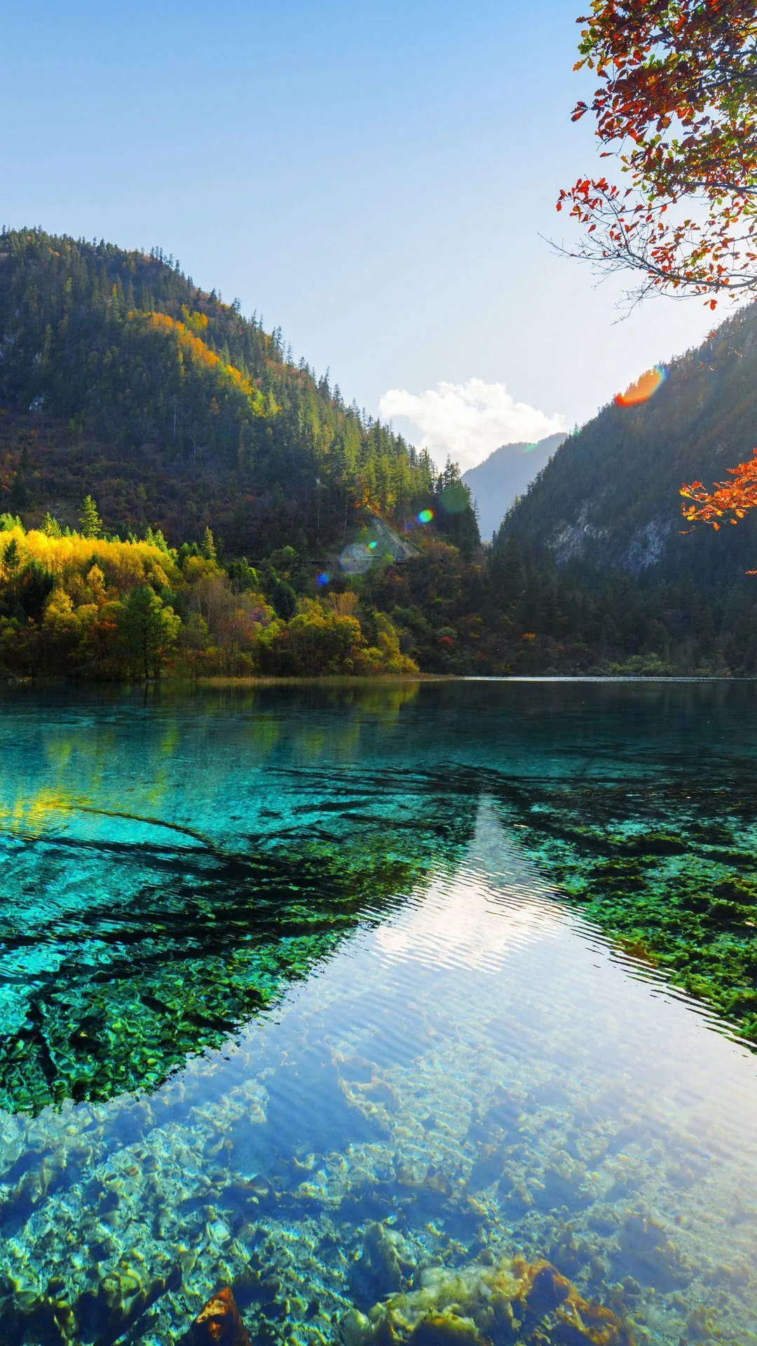 Clear turquoise water shows sunken logs in the foreground while autumn forest climbs the far slopes, the pale sky strip at the top holding the clock cleanly.