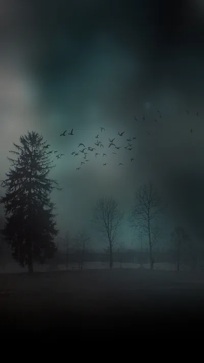 A flock scatters over bare trees in heavy teal fog, the ground and treeline sinking into shadow along the bottom.