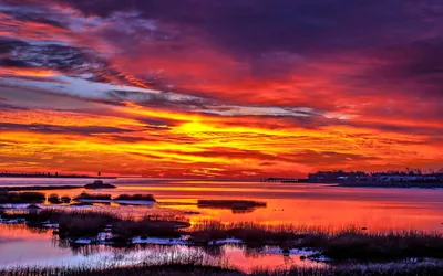 Crimson and orange clouds hang over still marsh water that mirrors every colour, dark tufts of grass breaking the surface across the shallows.