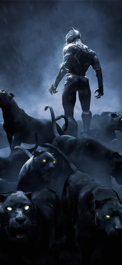 The masked figure stands on high ground in the mist while a group of panthers with pale green eyes gathers on the rocks below.