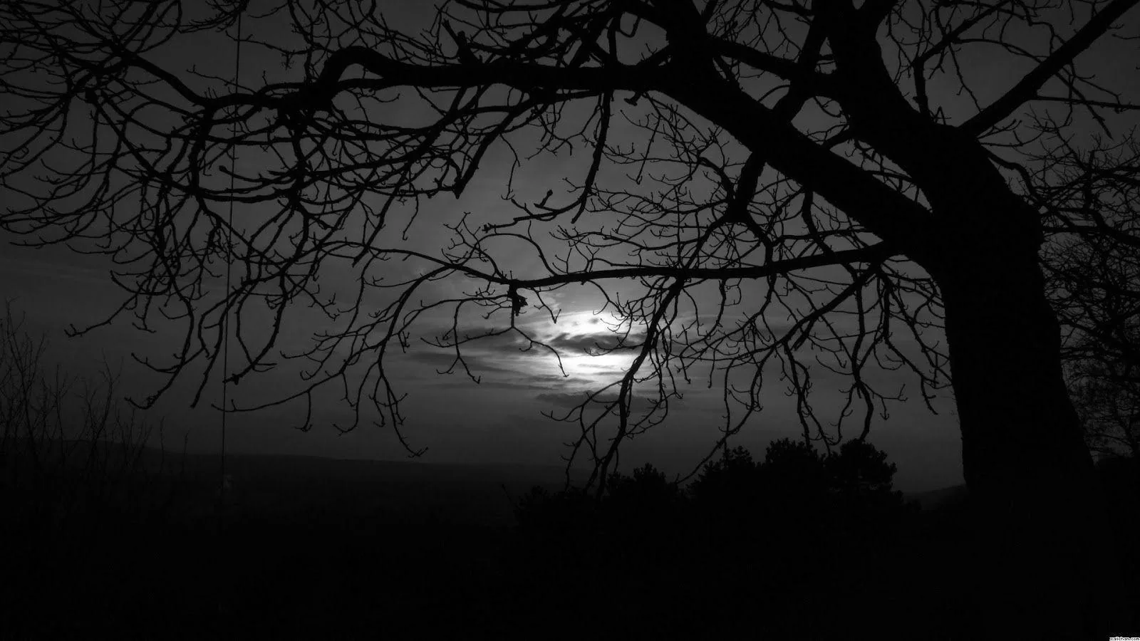 Moonlight fights through heavy cloud behind the crooked limbs of a bare tree, the whole scene sunk in grim black and white.