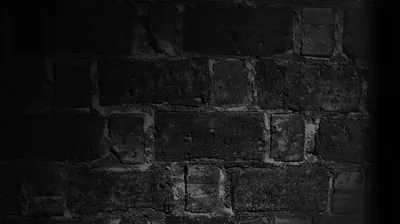 Rough brickwork fills the frame with the mortar lines picked out, corners falling away into full black.