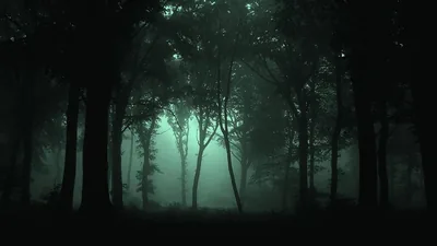 Bare branching silhouettes stand against a glow of green mist at centre, the frame darkening to full black in the corners.