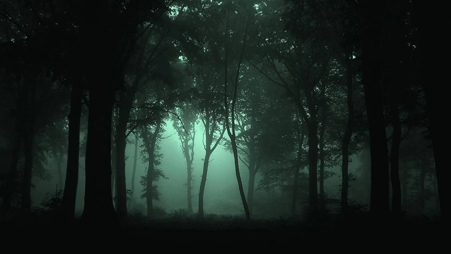 Bare branching silhouettes stand against a glow of green mist at centre, the frame darkening to full black in the corners.