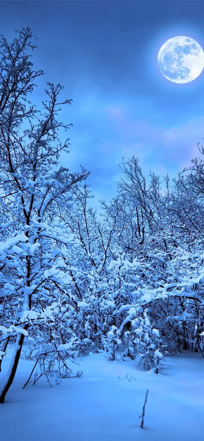 A full moon hangs top-right over snow-laden trees in blue night light, the open snowfield at the bottom the only calm spot for icons.