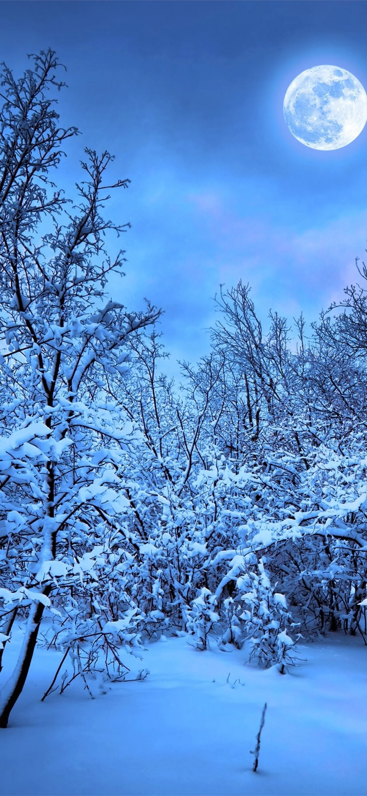 A full moon hangs top-right over snow-laden trees in blue night light, the open snowfield at the bottom the only calm spot for icons.