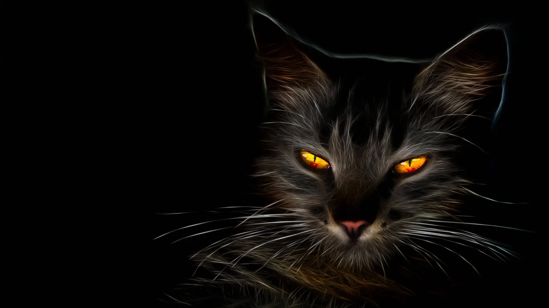 A fractal filter turns every hair into a bright thread around this cat's head, orange eyes burning at the centre with clear black space on the left.