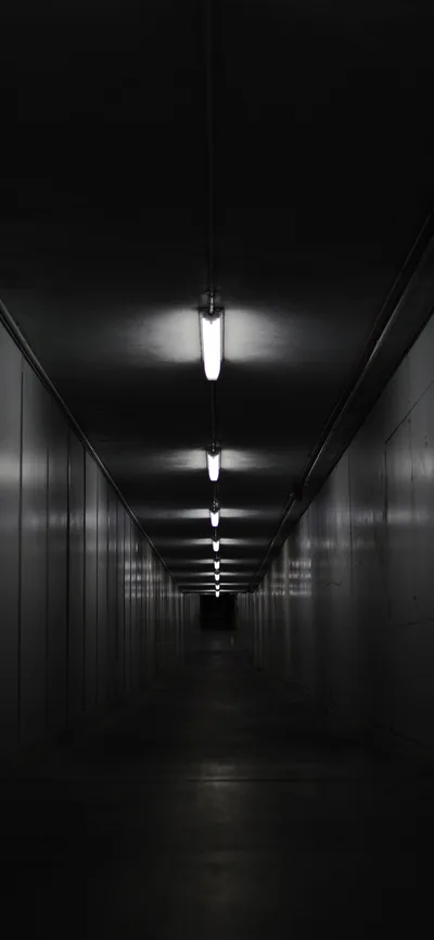 Fluorescent tubes recede down the ceiling of a long empty corridor, each one dimmer than the last until the far end is lost in shadow.