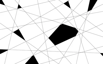 Thin lines criss-cross a white field with a few solid black shapes filling the gaps between them.