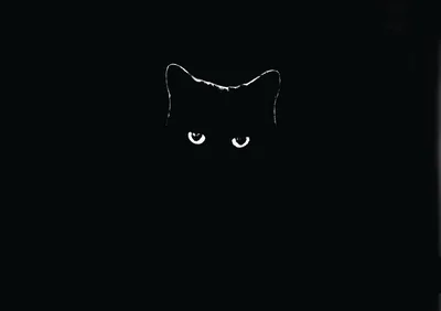 A thin white line traces the ears and brow of a cat, two narrow eyes glowing beneath it, the rest of the frame left completely black.