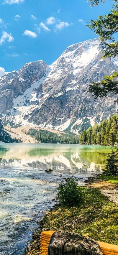 A clear turquoise lake mirrors a sheer mountain wall and pines, with a weathered log on the near shore grounding the bottom of the frame.