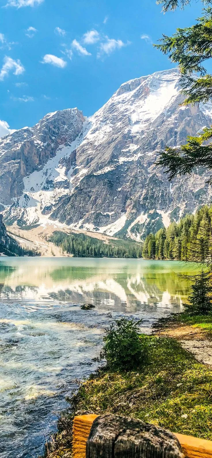 A clear turquoise lake mirrors a sheer mountain wall and pines, with a weathered log on the near shore grounding the bottom of the frame.