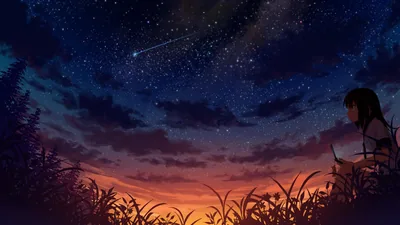 A girl sits half-hidden in tall grass at the right edge while a shooting star crosses the deep blue night, leaving most of the sky clear for widgets.