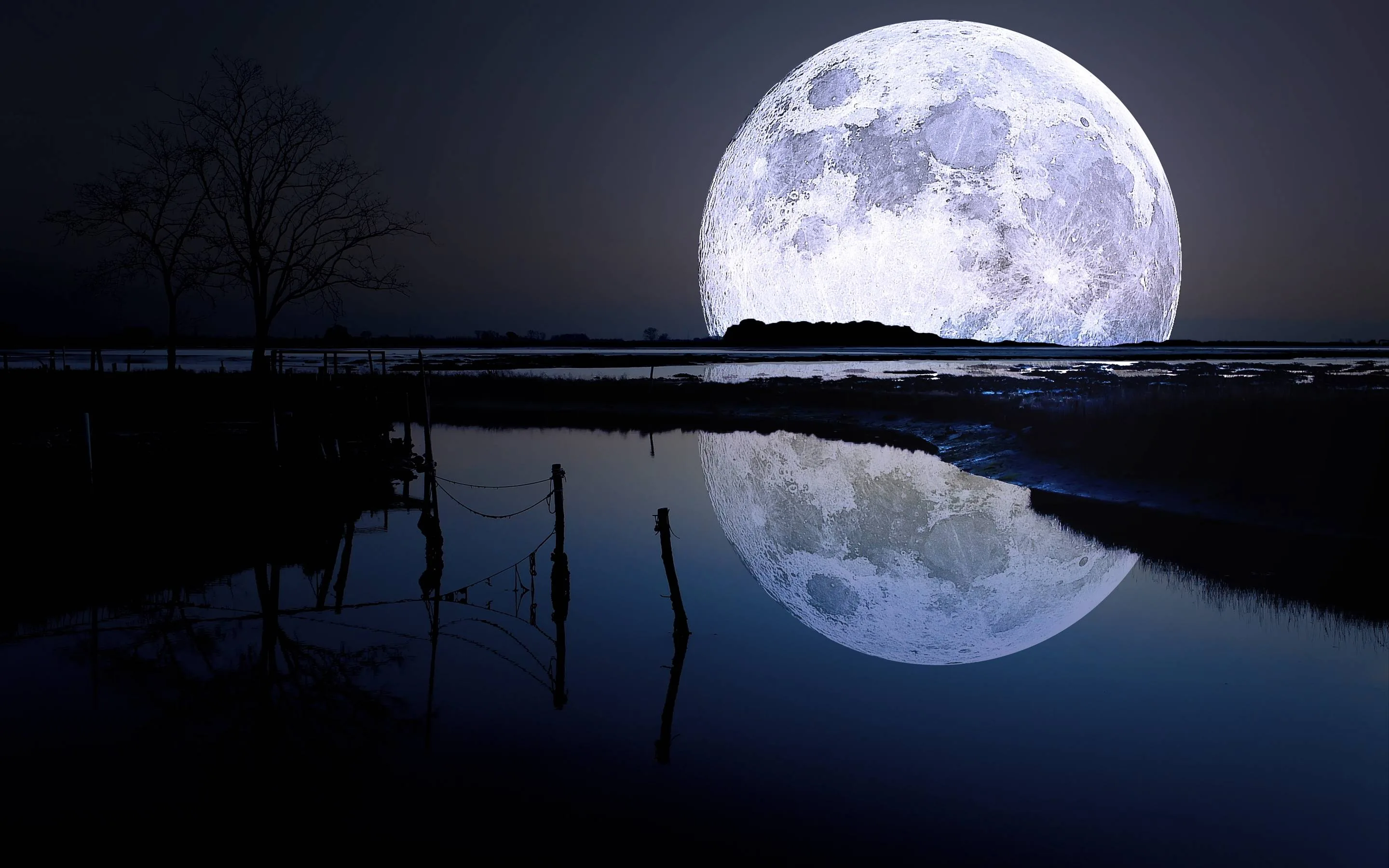 A huge moon clears the treeline behind a flooded marsh, bare branches silhouetted at the left while its reflection breaks up in the dark water.