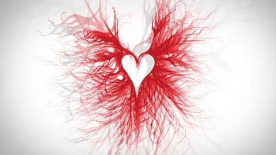 Fine red fibres fan out like wings from a white heart at centre, drawn on an off-white ground that keeps the whole frame bright.
