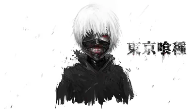 The stitched red mask and white hair painted with loose black strokes, the series title set in kanji to the right of the shoulder.