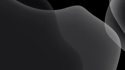 Overlapping translucent curves sweep across the frame in graphite grey, the right side left in solid black — a widescreen abstract.
