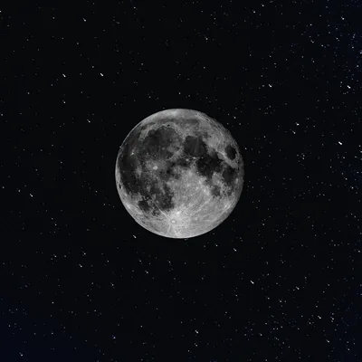 A grey full moon sits dead centre in a dense white star field, the square frame cropping evenly to desktop or phone ratios.