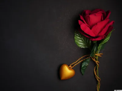 A single red rose lies on dark textured stone beside a gold heart locket on a chain, the whole left half of the frame kept empty.