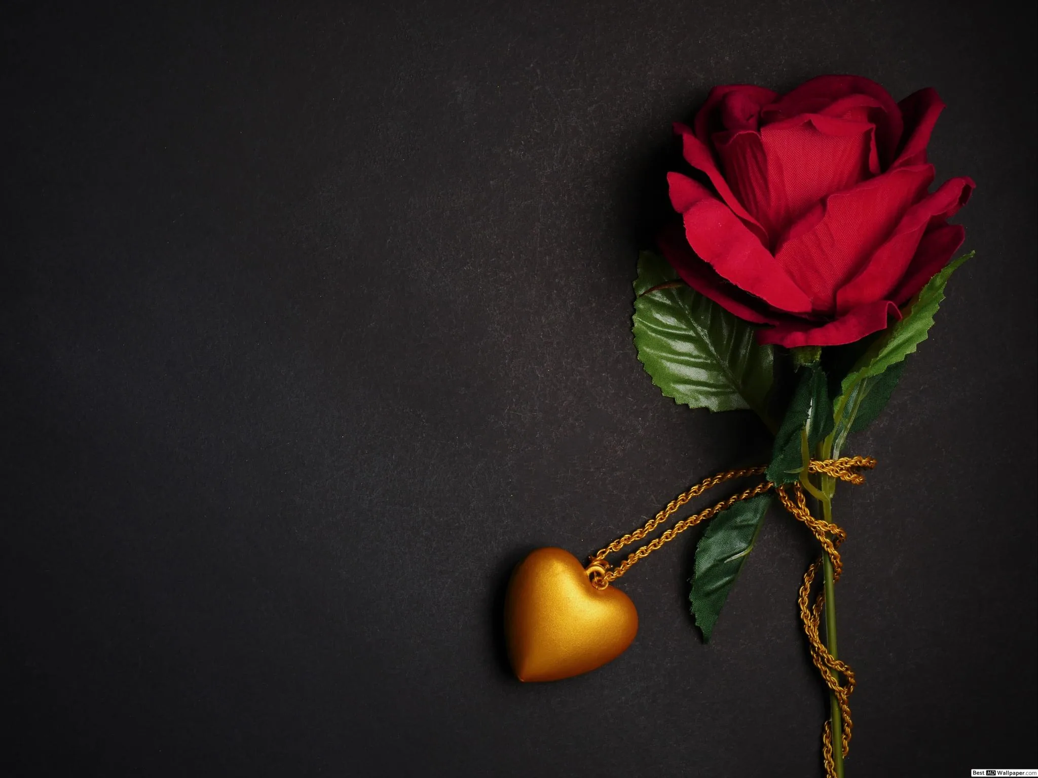 A single red rose lies on dark textured stone beside a gold heart locket on a chain, the whole left half of the frame kept empty.