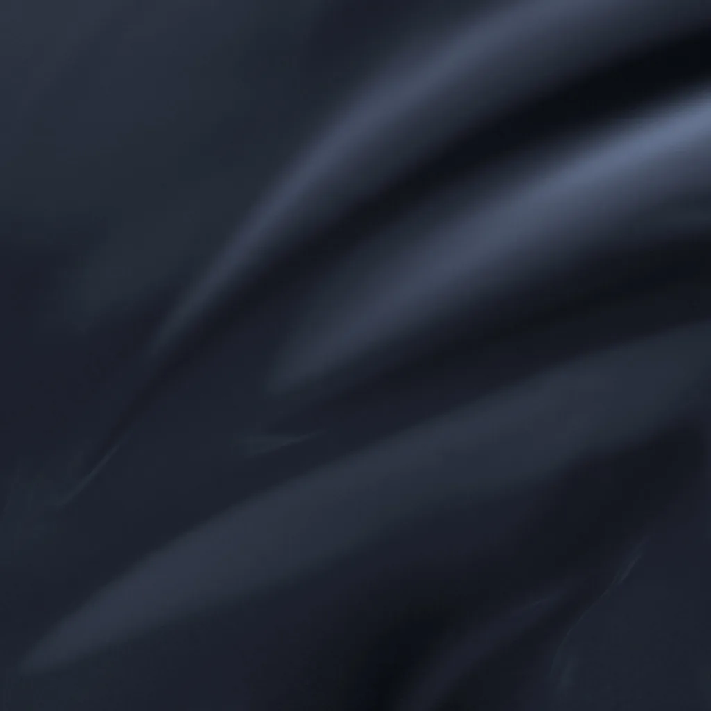 Soft folds run diagonally across dark navy silk, the light catching only the raised edges of each crease.