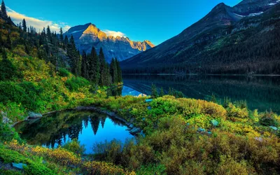 A weed-ringed tarn in the foreground mirrors the sunlit summit across the bigger lake behind, with the clearest sky held in the top right corner.