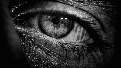 A macro shot of one eye, the iris and lashes sharp while the surrounding skin falls away into shadow on the left.