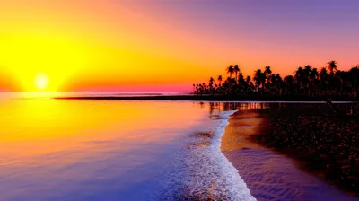 A blazing yellow sun saturates the whole left side while palm silhouettes crowd the right shore, the wet sand banded in pink and violet reflections.